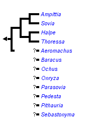 taxon links