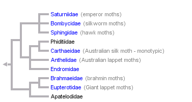 taxon links