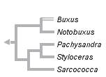 taxon links