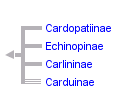 taxon links