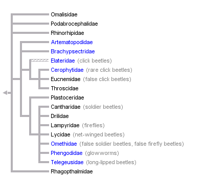 taxon links