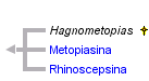 taxon links