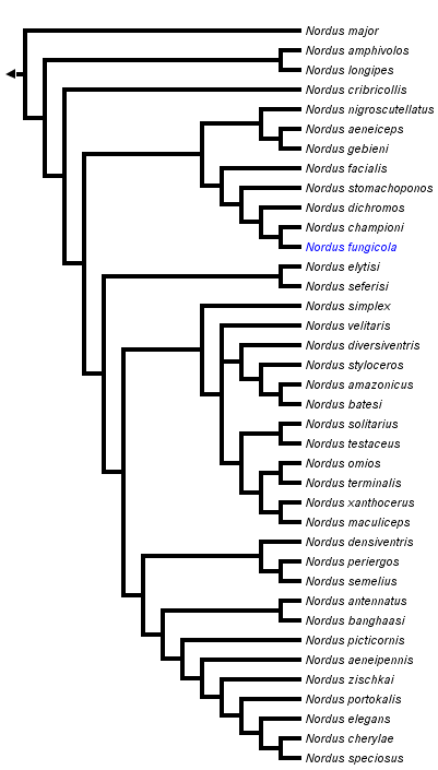 taxon links