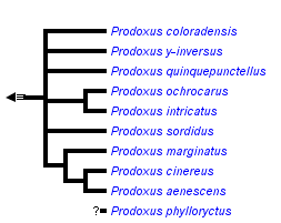 taxon links