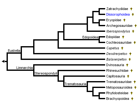 taxon links