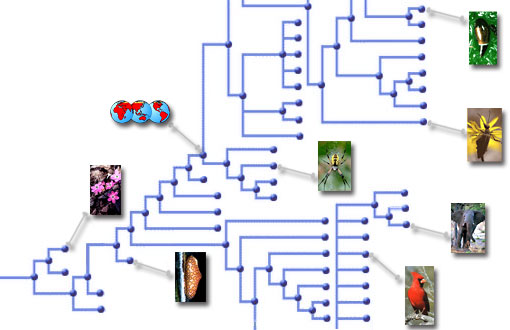images attached to groups in the tree